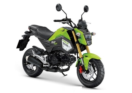 MSX125SF (2019) Green Plastic (GY134)