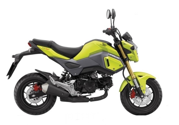 MSX125SF Plastics