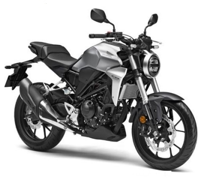 CB300R Silver/Black Plastic