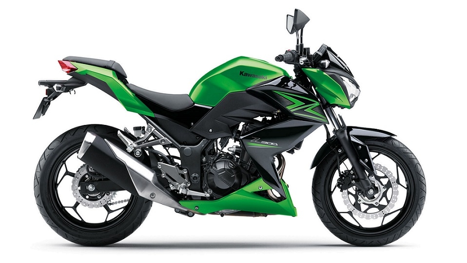 Z300 Decals