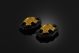 Crankshaft Cover Set  - Light Gold