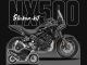 Complete 3M™ Honda NX500 Decal Sticker Kit - Future Race (Gray/White)