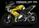 Yamaha YZF R15 Decal Sticker Kit-Monster 