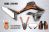 Honda CRF300L Decal Sticker Kit - FOX (Orange)