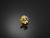 Stainless Clutch Cable Adjuster (Large) - Light Gold