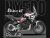 Complete 3M™ Honda NX500 Decal Sticker Kit - Desert Race (White)