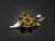 Engine Guard Set (Right) - Light Gold