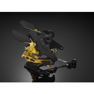 Rear Set-Light Gold